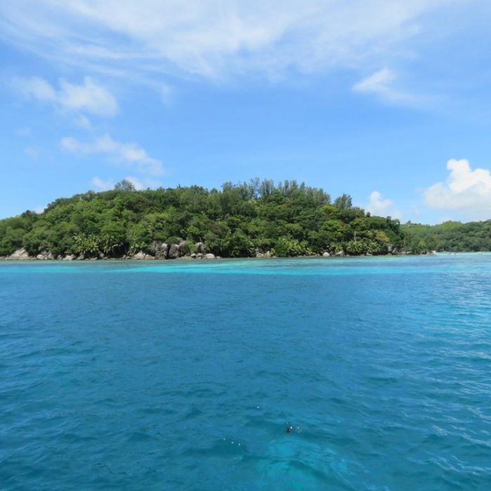 JAUDANIC III | Leopard 48 photo 35