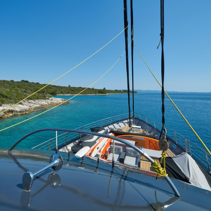 Rara Avis | Luxury Sailing Yacht Rara Avis photo 9