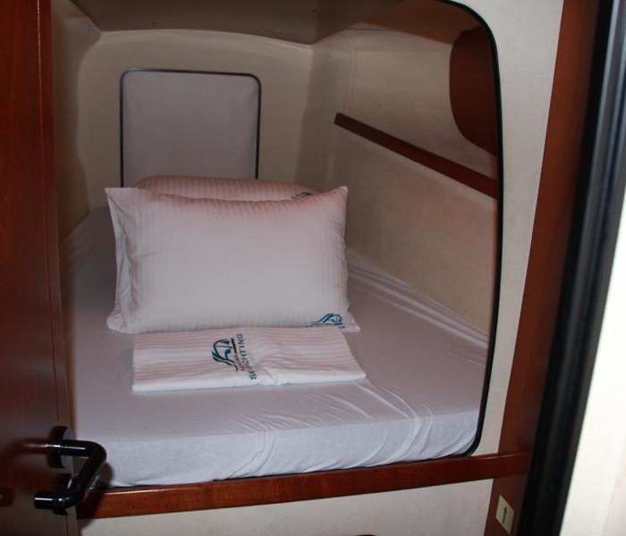 Andromeda 1 | Athena 38 photo 19