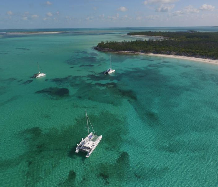 Castor | TS 42 photo 29