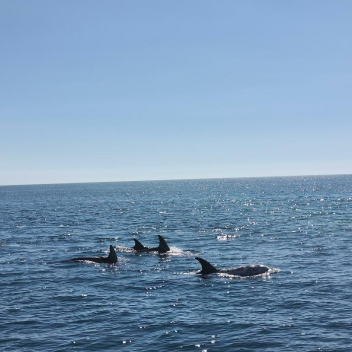 LOCO X | FP 44 photo 13