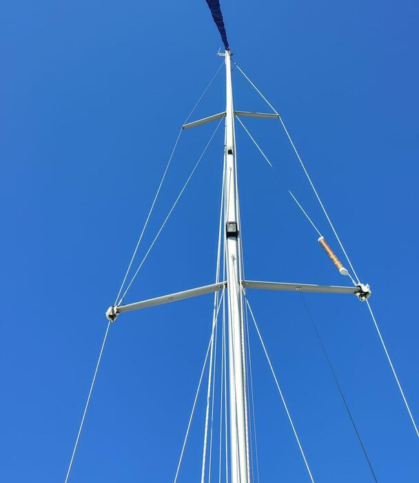 Silba | Vektor 36 photo 3