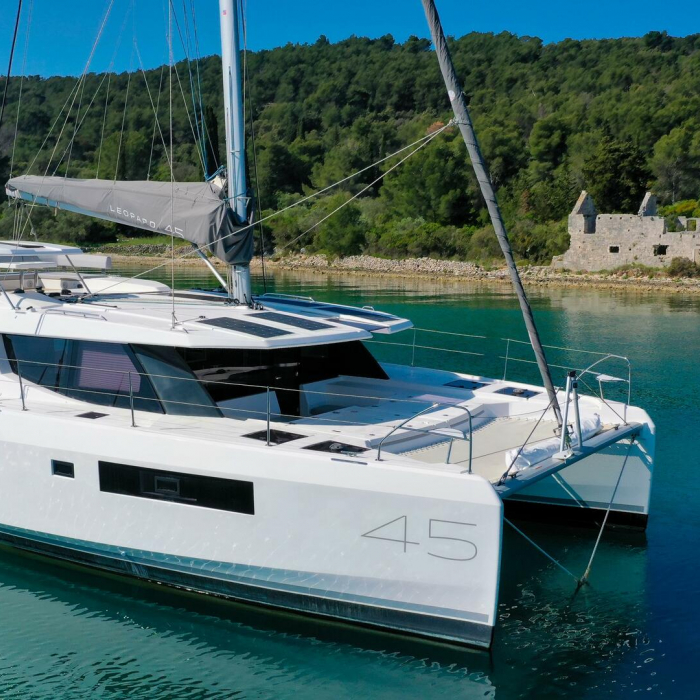 Manaphy | Leopard 45 photo 4