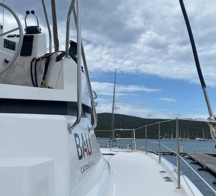 Tursiops | Bali Catspace photo 36