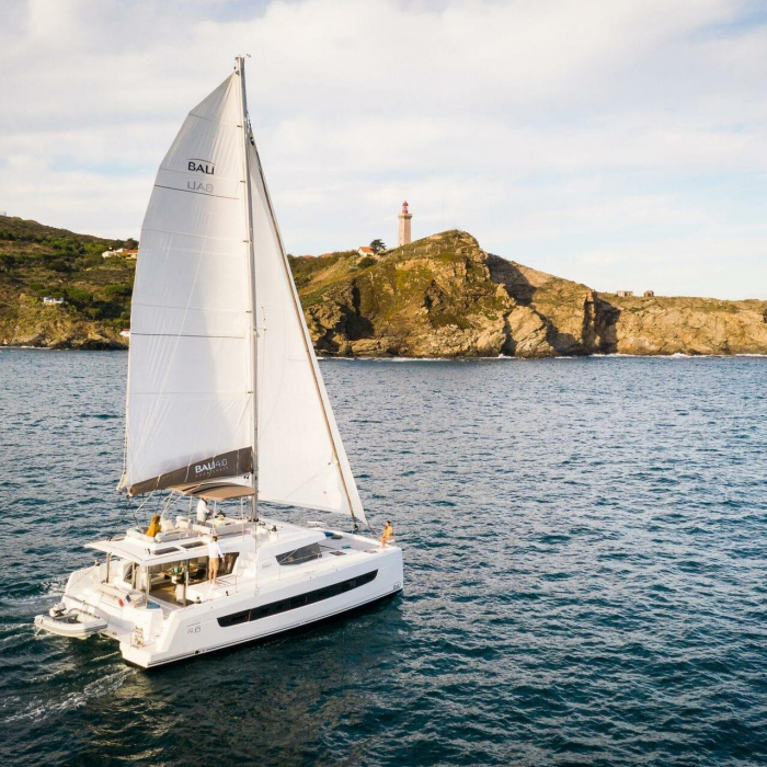 Sea Dog - FF | Bali 4.6 photo 4