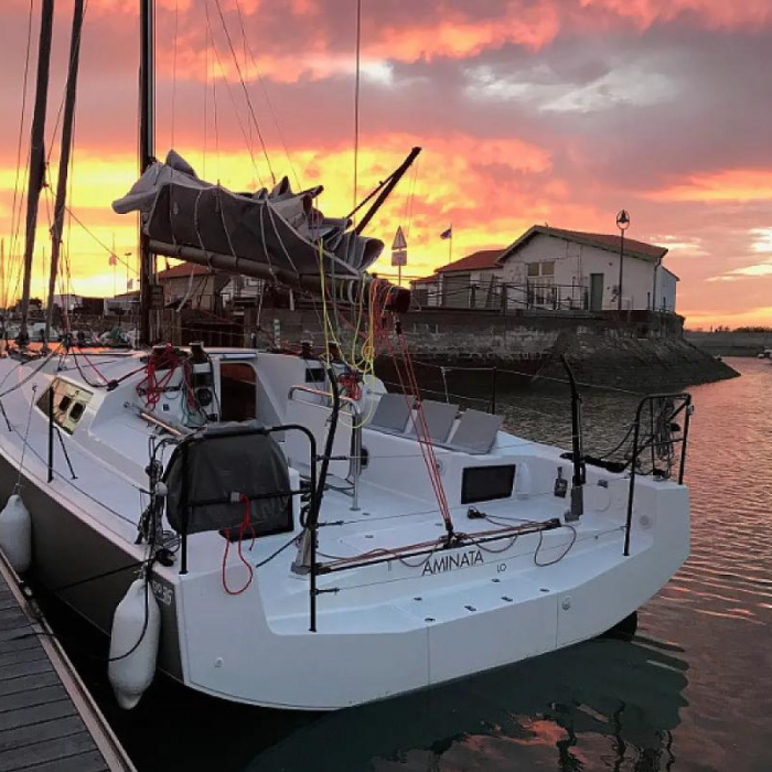 LITTLE WING | Pogo 36 photo 9