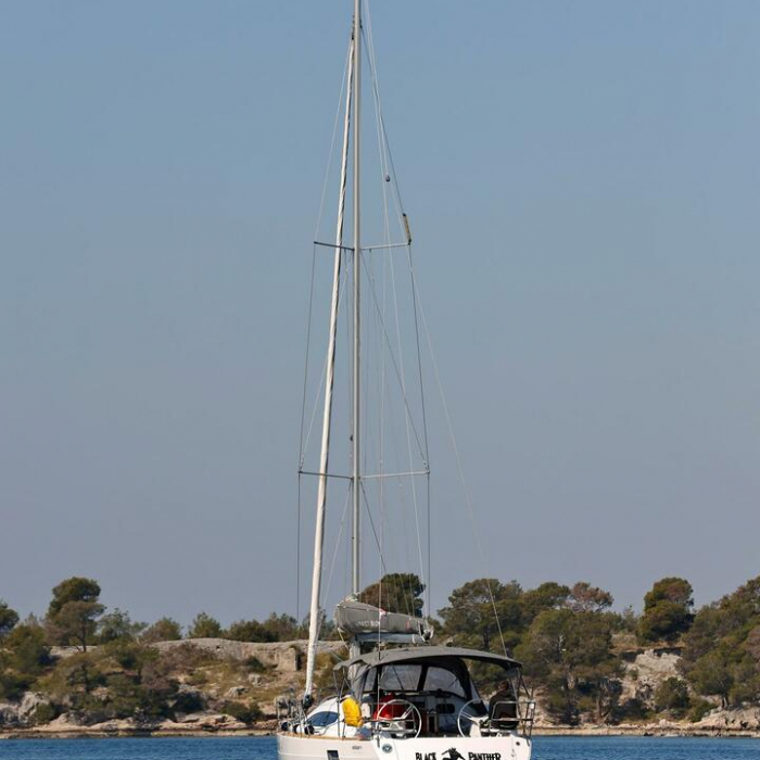 Black Panther | Elan Impression 40 photo 8