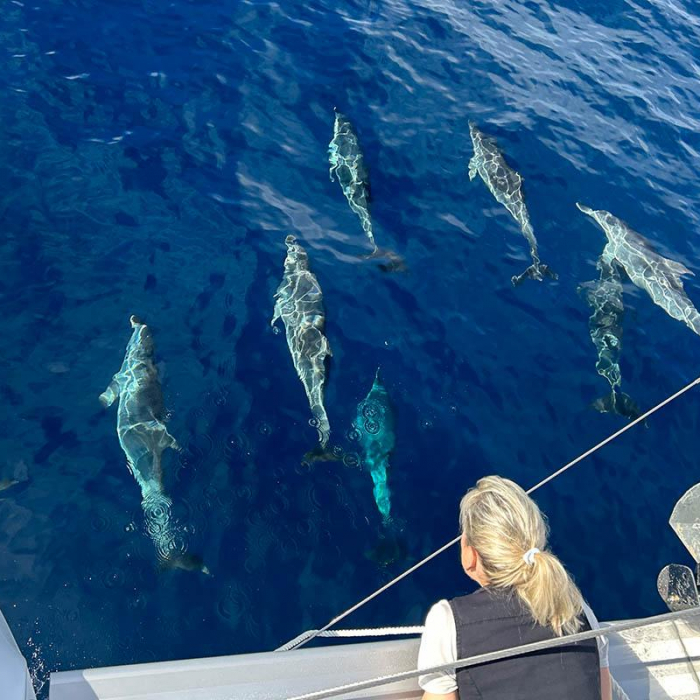 Lorelei | Lagoon 42 photo 6