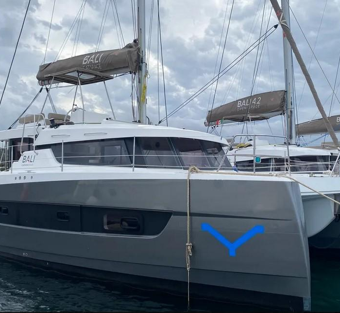 Tursiops | Bali Catspace photo 2