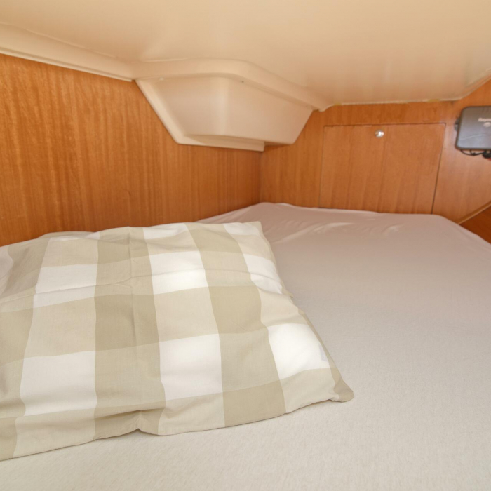 Amazone | Elan 344 Impression photo 20