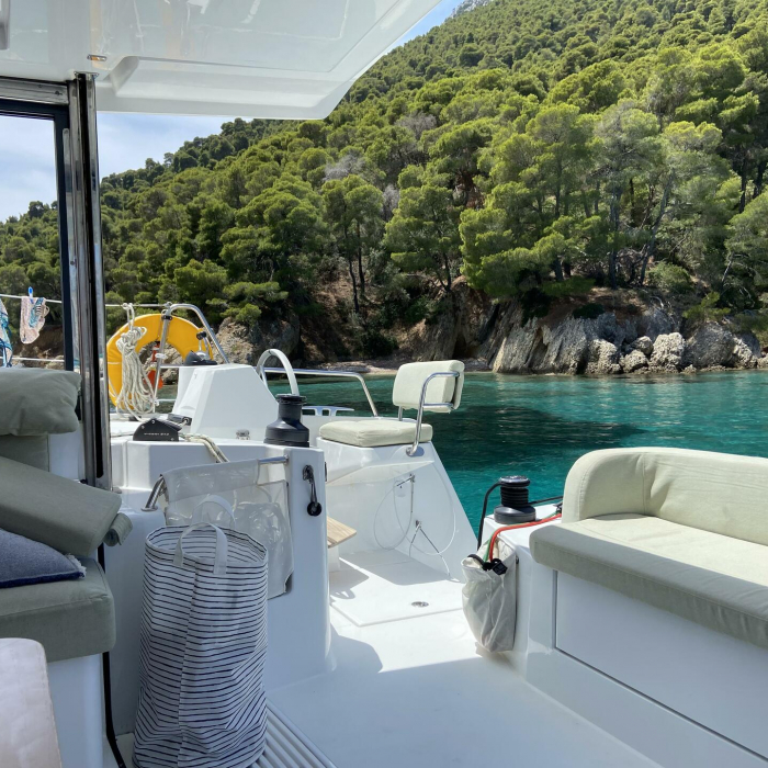 The Maestro Cat | Bali Catsmart photo 7