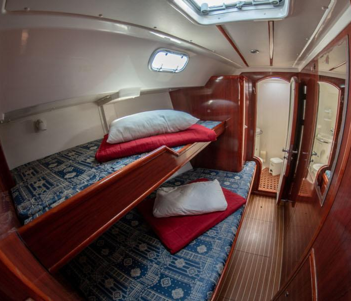 Apollon | Ocean Star 51.2 photo 8