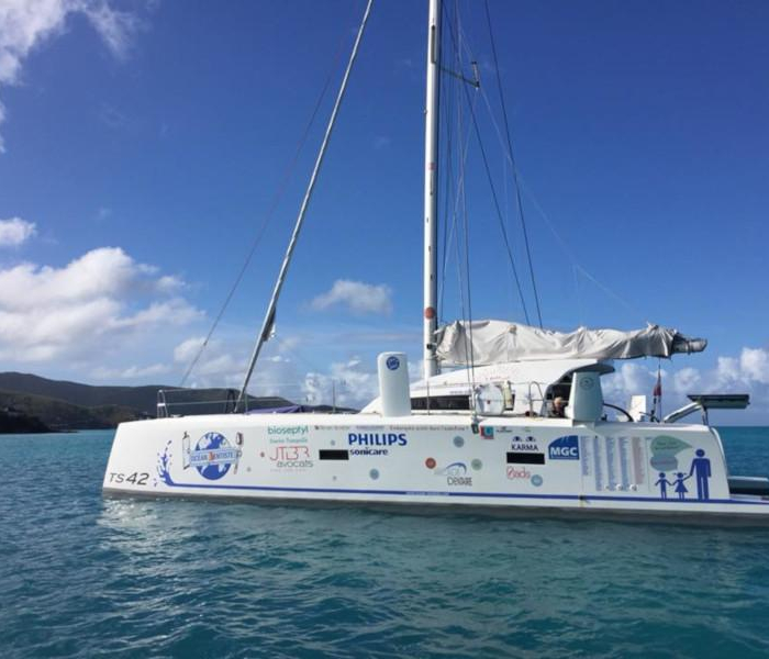 Castor | TS 42 photo 2