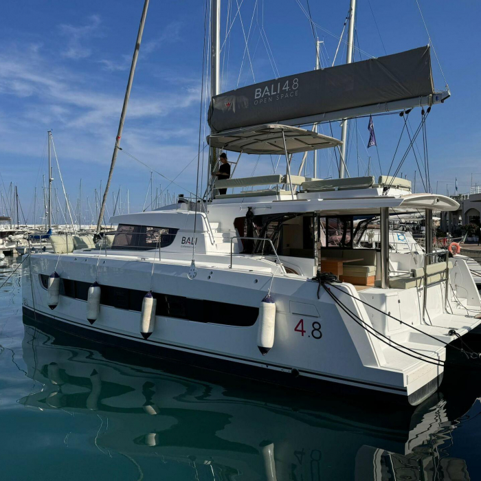 Silver Dolphin | Bali 4.8 Silver Dolphin photo 4