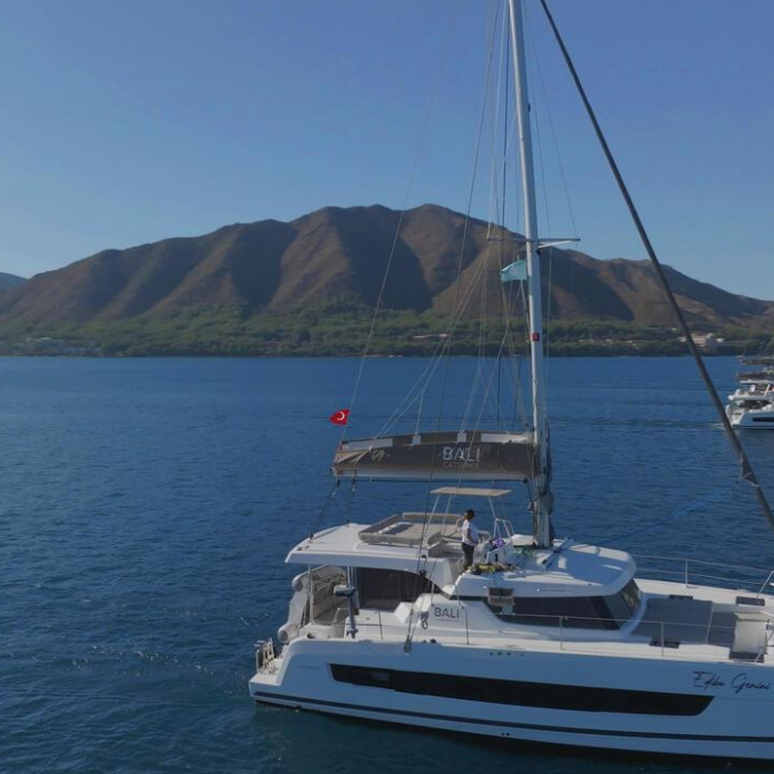 Ediba Gemini | Bali Catspace photo 1