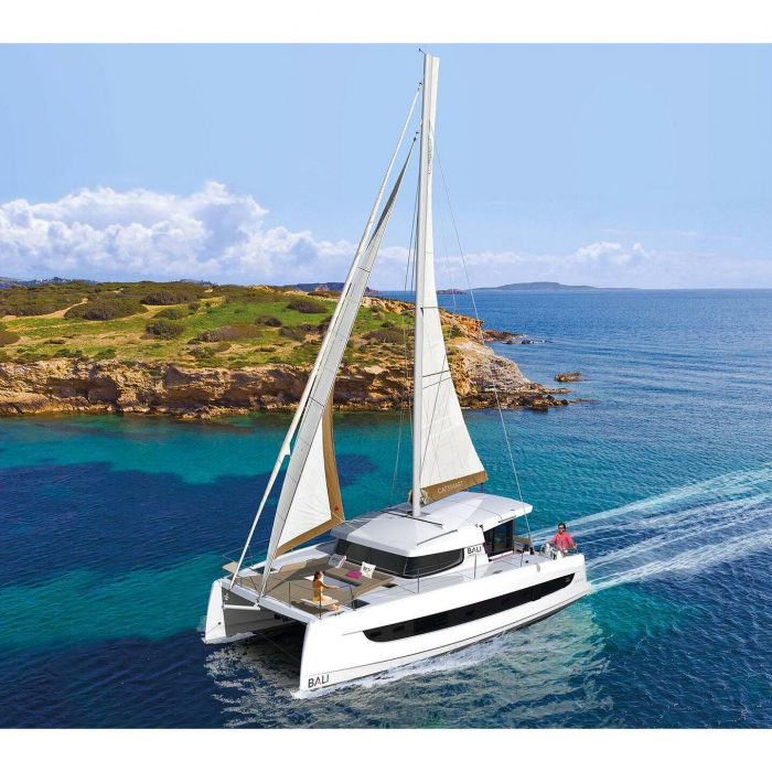 Agad | Bali Catsmart photo 1