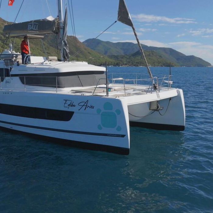 Ediba Aries | Bali Catspace photo 3