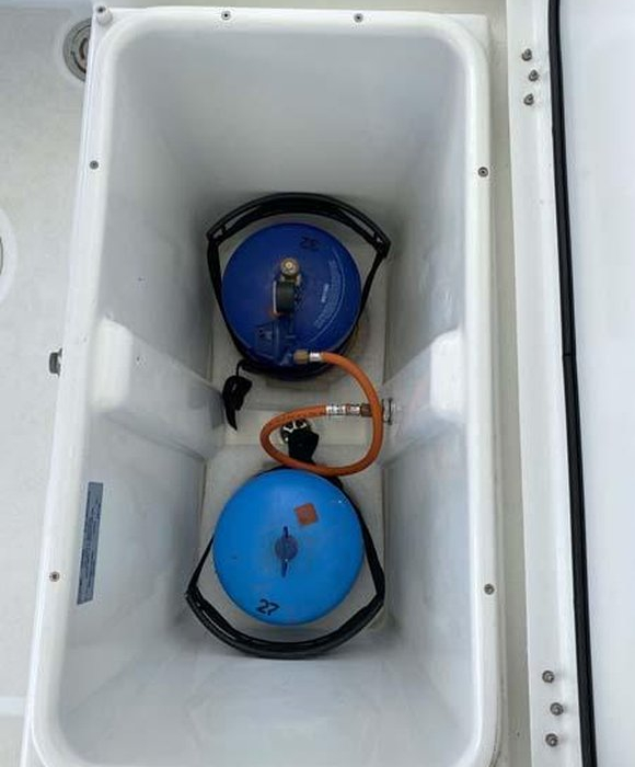 Dreamelli | Lagoon 450 F photo 23