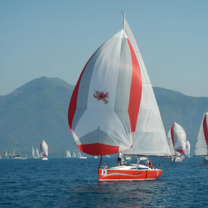 Wild Bee | Salona 41 photo 4