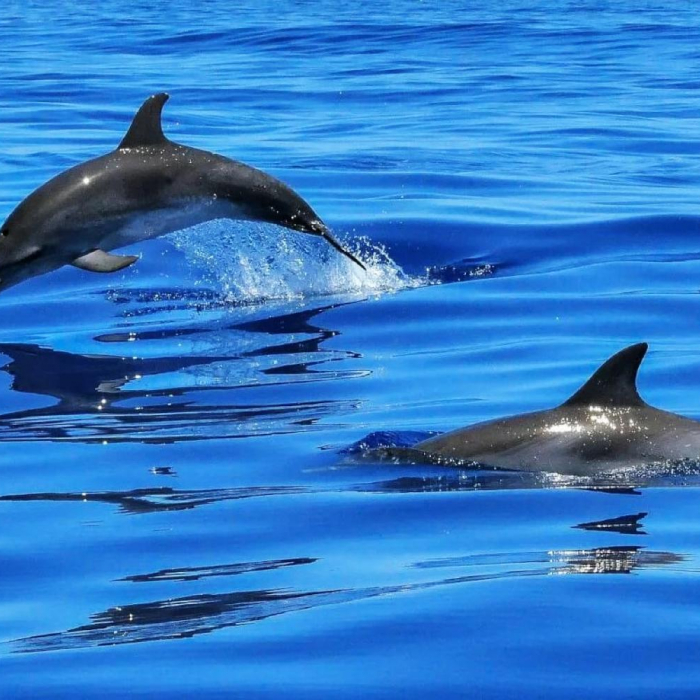 Jackpot | Beneteau Oceanis 48 photo 40