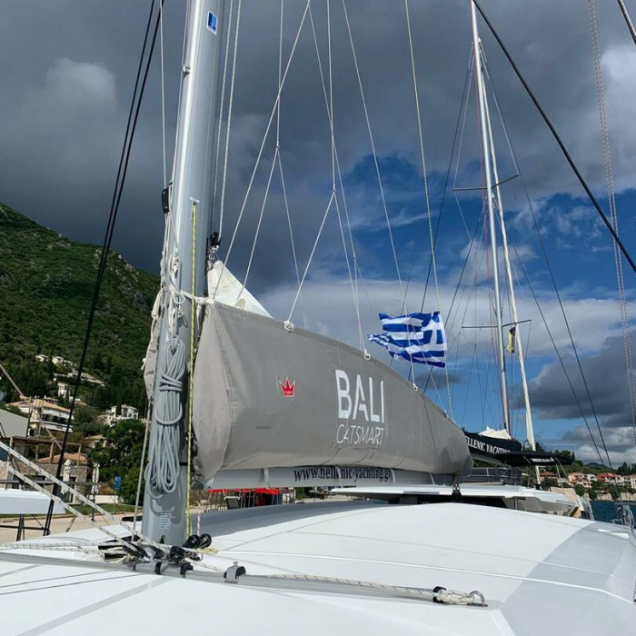 Timeless | Bali Catsmart photo 43