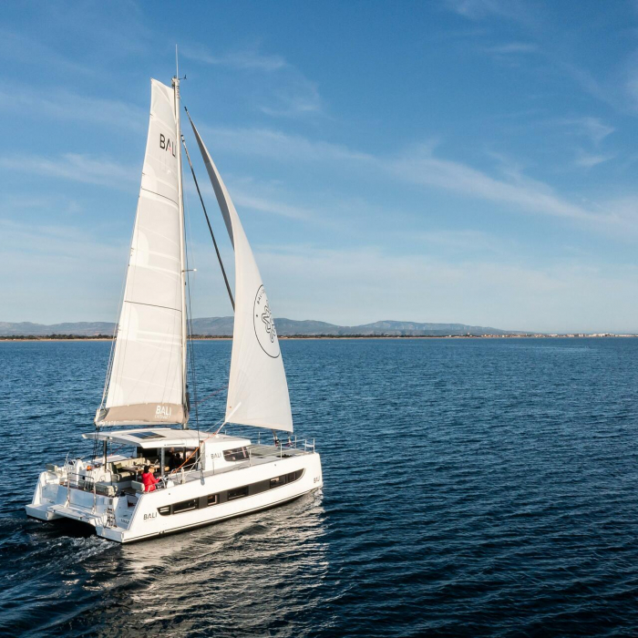 Gaja | Bali Catsmart OW photo 3