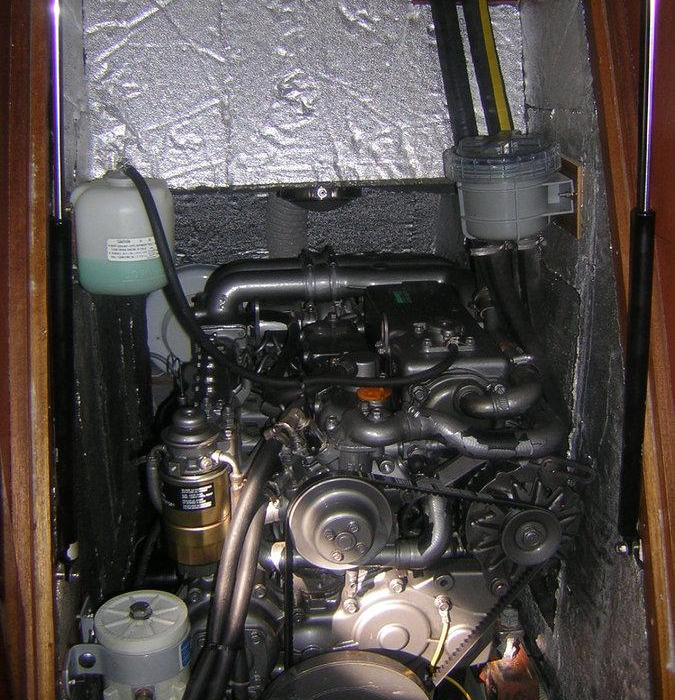 Jacosta | Alfa 51 photo 13