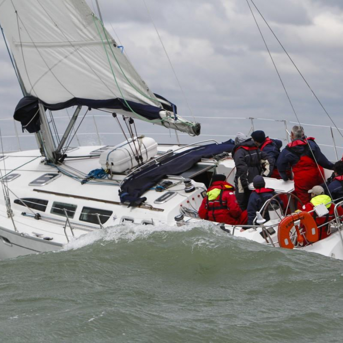 Sandpiper | _Model not defined photo 6