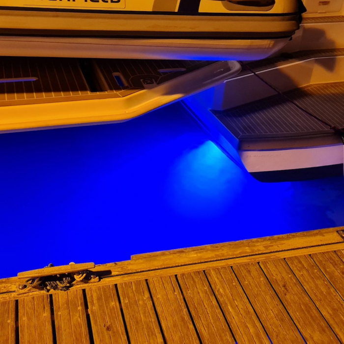 Trident | Leopard 50 photo 11