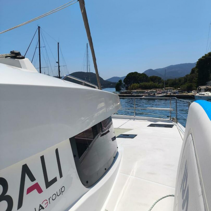 Timeless | Bali Catsmart photo 17