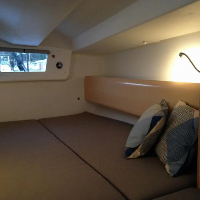 LITTLE WING | Pogo 36 photo 7