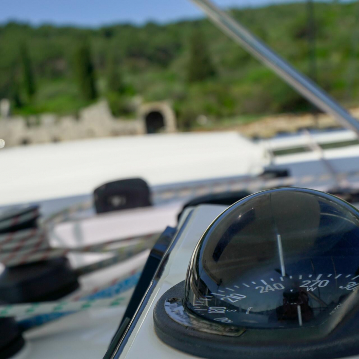 Manaphy | Leopard 45 photo 25