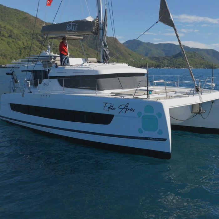 Aries | Bali Catspace photo 2