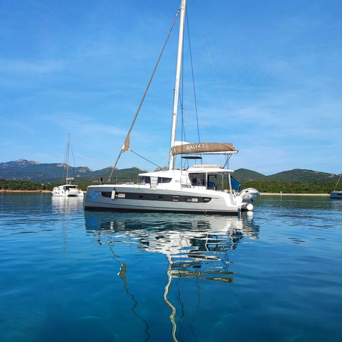 Ziphius | Bali 4.2 photo 8