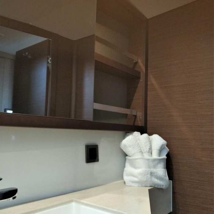 Dionike | Lagoon 46 photo 6