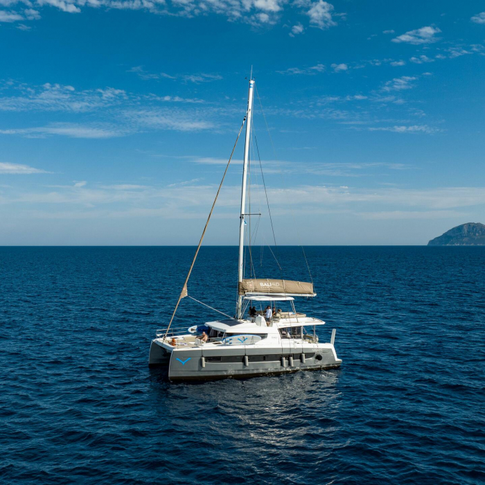 Grampus | Bali 4.6 photo 36