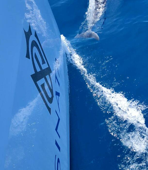 Sinata | Sunreef 60 photo 22