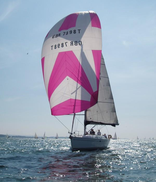 Sandpiper | _Model not defined photo 3