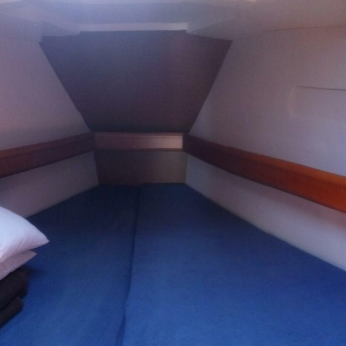 Genesis | Sun Odyssey 449 photo 10