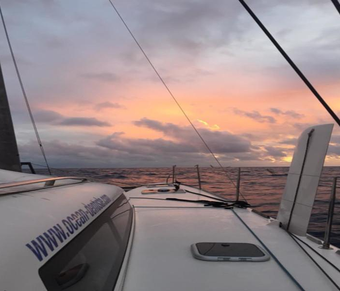 Castor | TS 42 photo 8