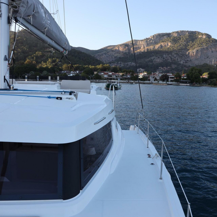 Rea | Bali Catspace photo 13