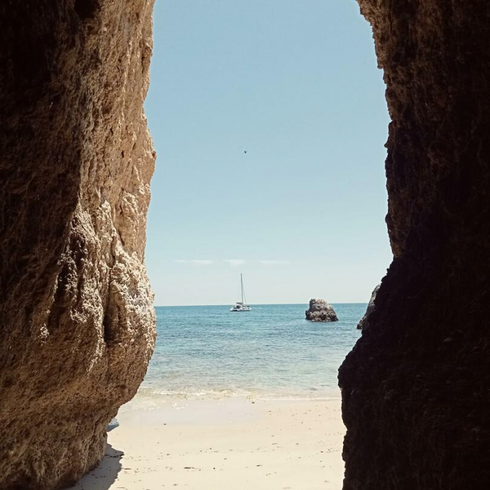 LOCO X | FP 44 photo 28