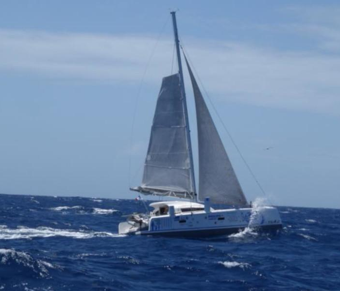 Castor | TS 42 photo 33