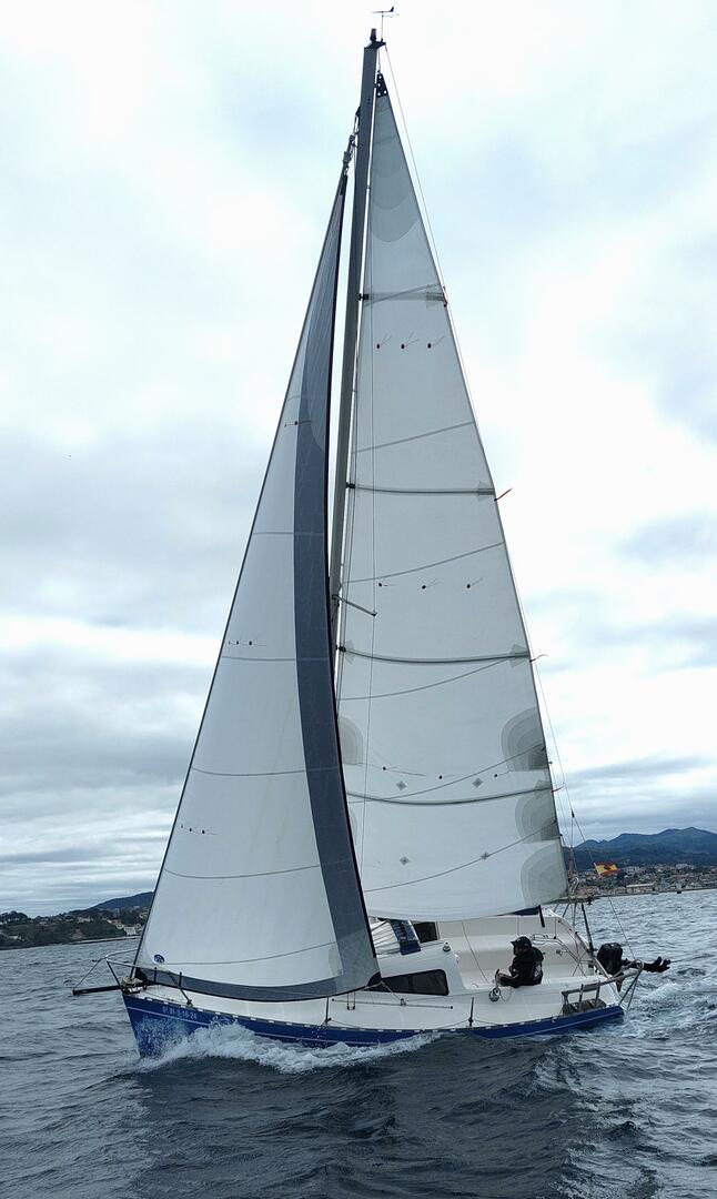 Comfort | Yatlant 24