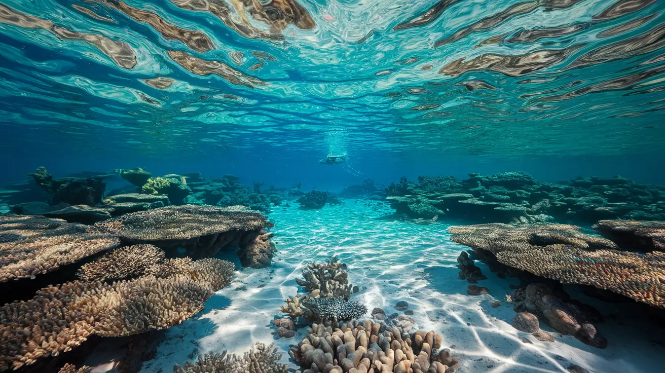 Where Should You Avoid Anchoring: Essential Guide