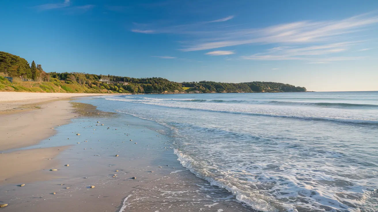 Bare Nice Beach France: The Ultimate Sailing Guide